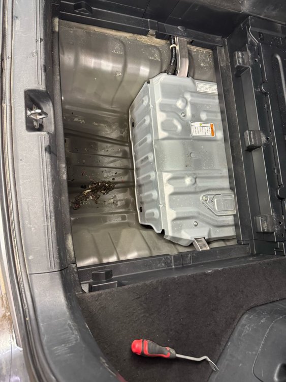 WhatsApp Image 2025-03-12 at 11.07.10.jpeg