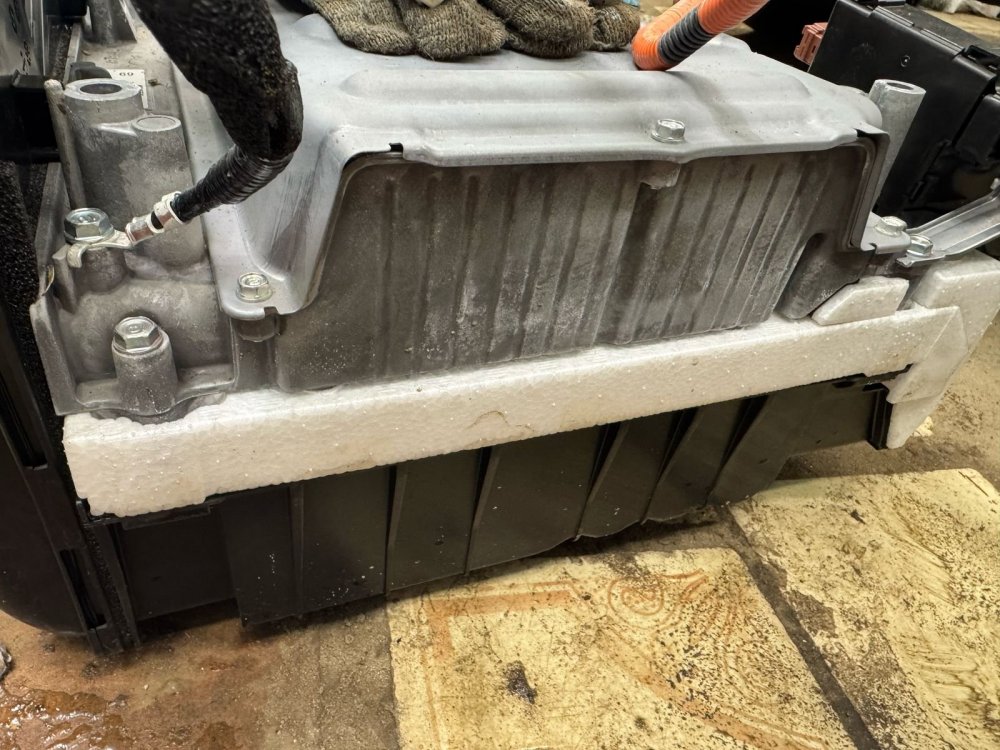 WhatsApp Image 2025-03-12 at 11.08.08.jpeg