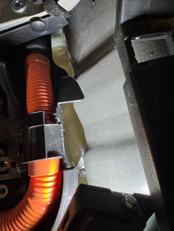 WhatsApp Image 2025-03-12 at 11.07.09.jpeg