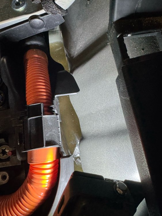 WhatsApp Image 2025-03-12 at 11.07.09 (1).jpeg